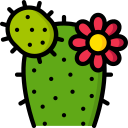 cactus icon