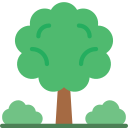 Árbol icon