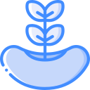 semilla icon