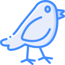 pájaro icon