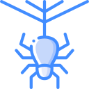 araña icon