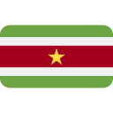 surinam icon