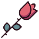 rosa icon