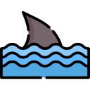 tiburón icon