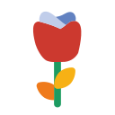 rosa icon