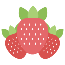 fresas icon