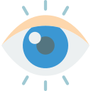 ojo icon