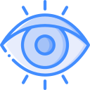 ojo icon