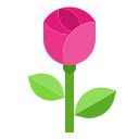 rosa