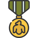 medalla de honor icon