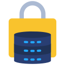 seguridad de datos icon