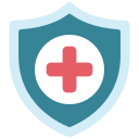 seguridad icon