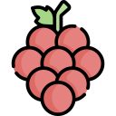 uvas icon