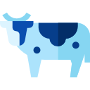 vaca icon