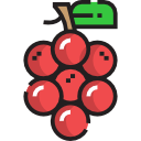 uvas icon