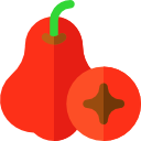 manzana rosa icon