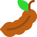 tamarindo icon