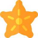 carambola icon