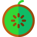 kiwi icon