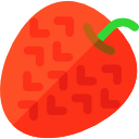 lychee icon