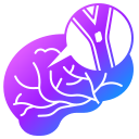 cerebrovasculares