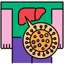 hepatitis icon