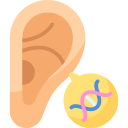 oreja icon