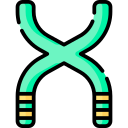 cromosoma icon