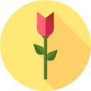 rosa icon