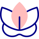 loto icona