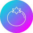 tomate icon