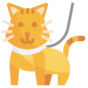 gato icon