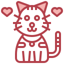 gato