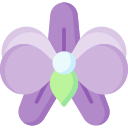 orchidée 