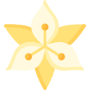 백합 