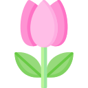 Tulip 