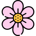 sakura icon