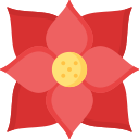 flor de pascua 