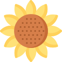 Sunflower icon