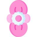 begônia 