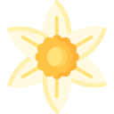 narciso 