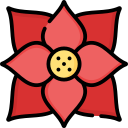 flor de pascua icon