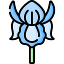 iris icon