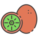 kiwi icon