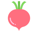비트 
