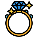 anillo icon