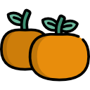 mandarina icon