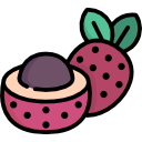 lychee icon