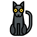 gato negro icon