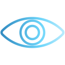 ojo icon